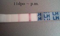 IMG_20111125_160056-1.jpg