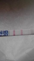 cd198am.jpg