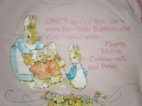 Peter Rabbit Detail.jpg