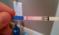pregooooo3.jpg