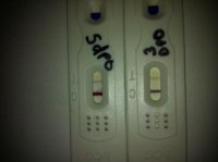 3dpo.jpg