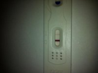 5dpo.jpg