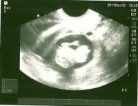 Gir 11w3d (Small).jpg