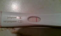 FRER10mins.jpg