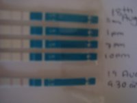 DSC02216.JPG