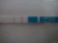 DSC02363.JPG
