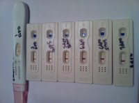 7dpo.jpg