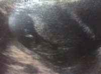baby chewy3.jpg