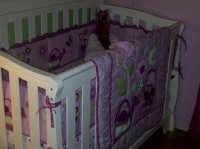 nursery2.jpg