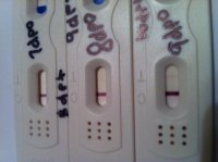 9 dpo.jpg