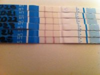 photo (2).jpg