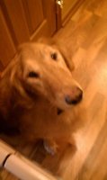 100MEDIA_IMAG0182.jpg