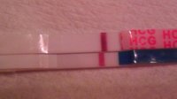 7dpo2.jpg