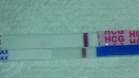 7dpo3.jpg