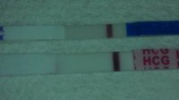 7dpo5.jpg
