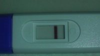 7dpo6.jpg