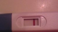 7dpo7.jpg