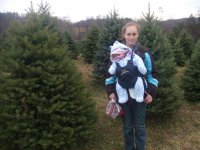 tree1.jpg