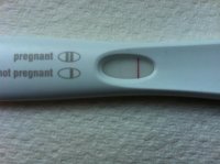 frer1.jpg