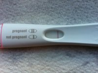 frer2.jpg