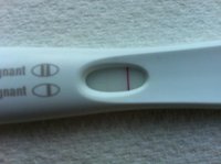 frer3.jpg