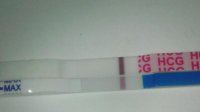 8dpo1.jpg