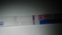 8dpo2.jpg