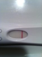 11dpo2.jpg