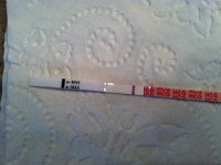 11DPO FMU Dec 4 dry.jpg