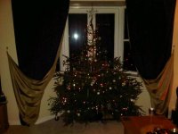 IMG00018-20111204-1643.jpg