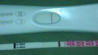 9dpo2.jpg
