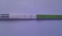 IMAG0747.jpg