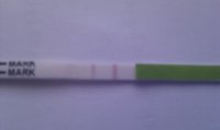 IMAG0748.jpg