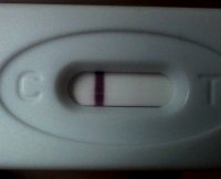 IMG_20111206_094252_edit0.jpg