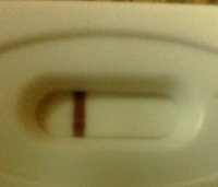 IMG_20111206_094908_edit0.jpg