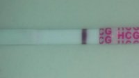 11dpo1.jpg