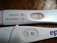 14DPO Dec 7.jpg