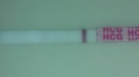 12dpo.jpg