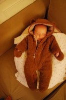 Sleeping Bear.jpg