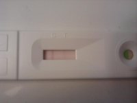 IMG_20111208_075019.jpg