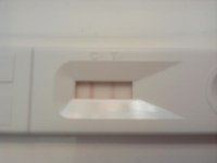 IMG_20111208_075720.jpg