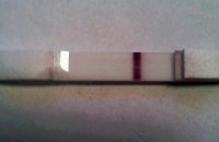 IMG_20111208_092006_edit0.jpg