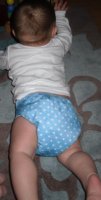 SDC13571.jpg