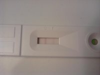 IMG_20111208_180626.jpg