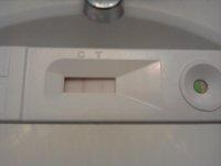 IMG_20111208_180649.jpg