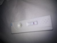 IMAG0231.jpg