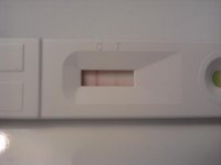 IMG_20111209_074631.jpg