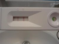cd20 p.m..jpg