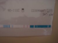 DSC02390.JPG