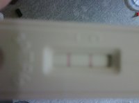 IMG00038-20090825-1202.jpg